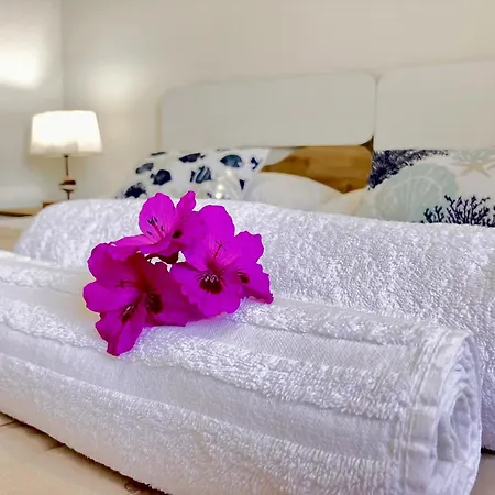 Sul Mare Con Giardino E Vista Mozzafiato * カステルサルド